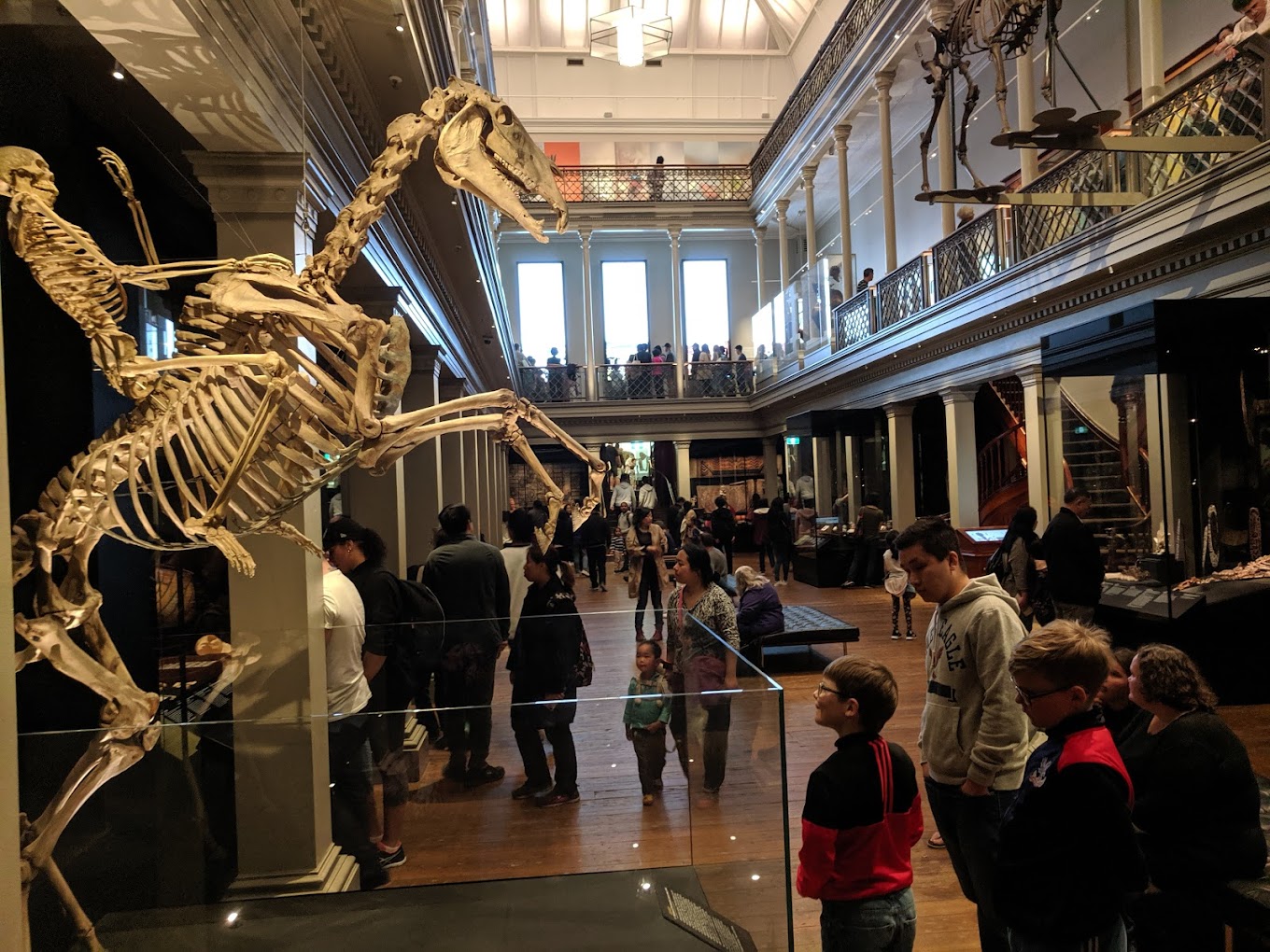 Two-storey museum hall with a large fossil skeleton mounted overhead and visitors viewing exhibits below.